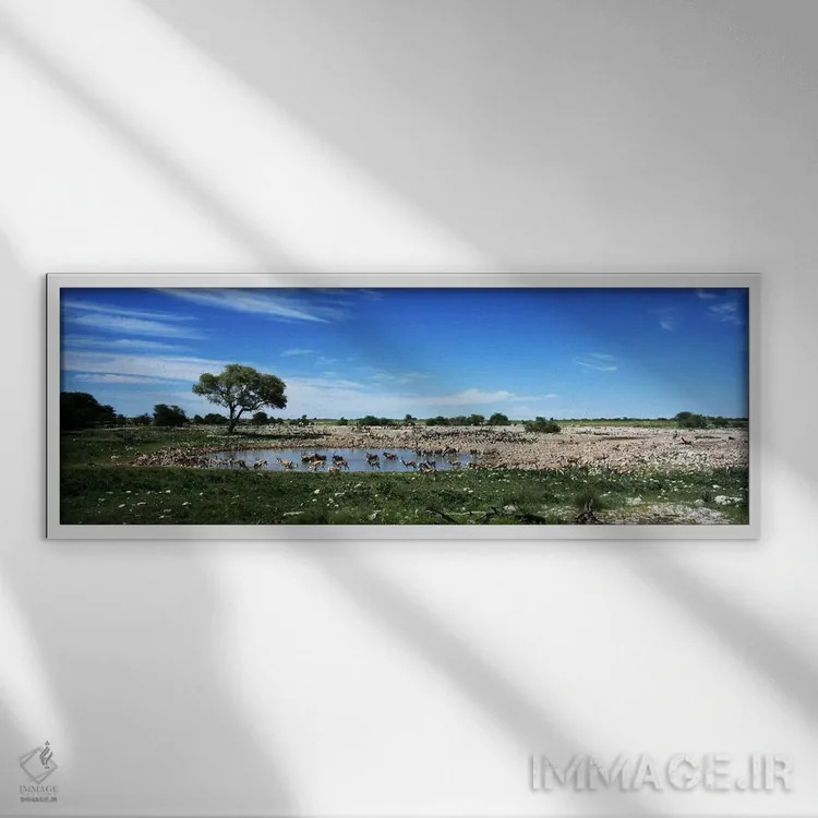 تابلو دکوراتیو Etosha National Park, Kunene Region, Namibia,حیوانات وح… اثر پانورامیک ایمجز - نمای قابدار سفید