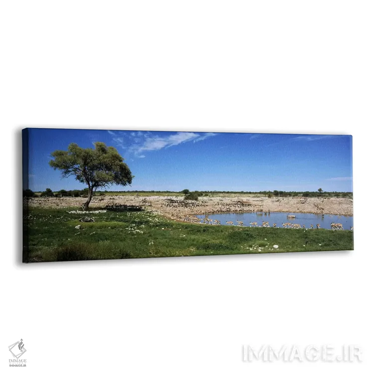 تابلو دکوراتیو Etosha National Park, Kunene Region, Namibia,حیوانات وح… اثر پانورامیک ایمجز - نمای پرسپکتیو محصول