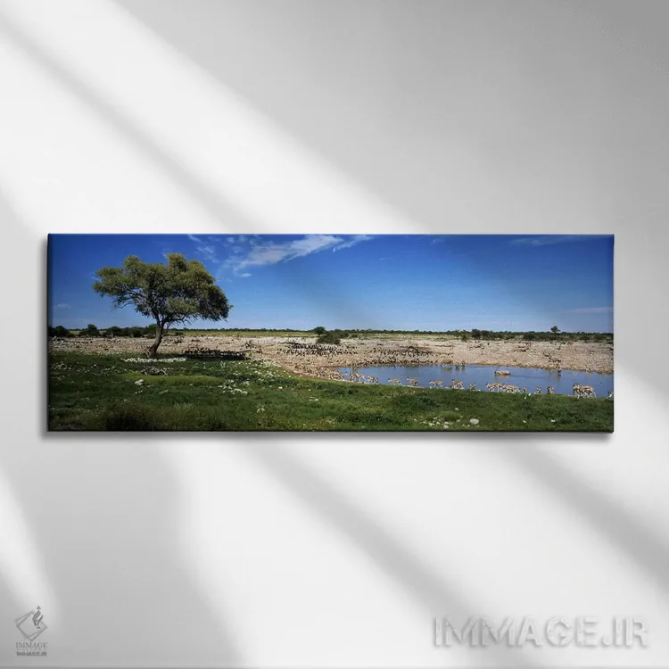 تابلو دکوراتیو Etosha National Park, Kunene Region, Namibia,حیوانات وح… اثر پانورامیک ایمجز - نمای روبهرو روی دیوار