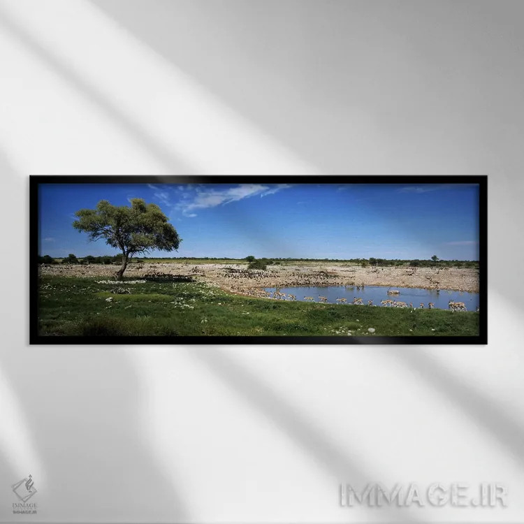 تابلو دکوراتیو Etosha National Park, Kunene Region, Namibia,حیوانات وح… اثر پانورامیک ایمجز - نمای قابدار مشکی