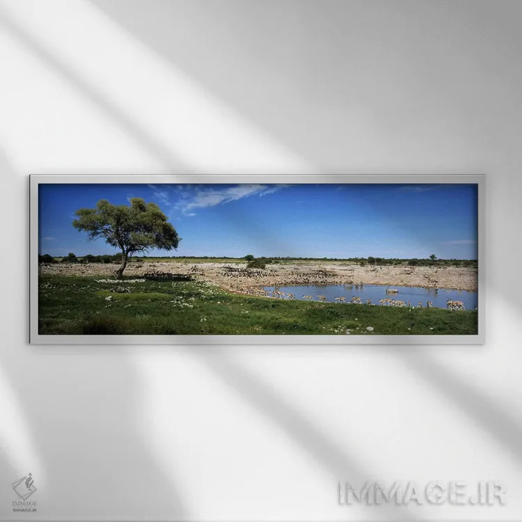 تابلو دکوراتیو Etosha National Park, Kunene Region, Namibia,حیوانات وح… اثر پانورامیک ایمجز - نمای قابدار سفید