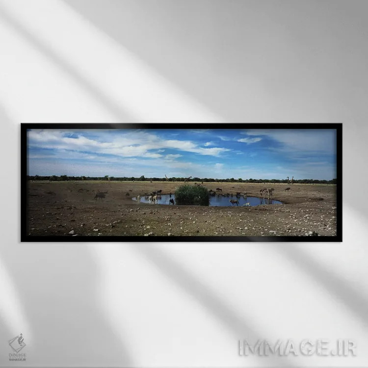 تابلو دکوراتیو Kunene Region, Namibia,حیوانات وحشی در برکه آب، پارک مل… اثر پانورامیک ایمجز - نمای قابدار مشکی