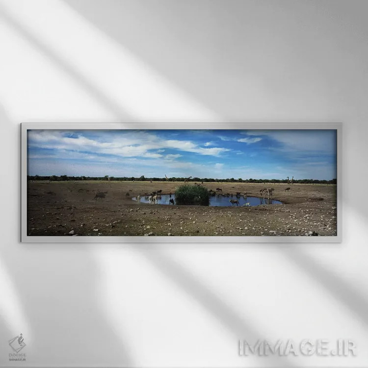 تابلو دکوراتیو Kunene Region, Namibia,حیوانات وحشی در برکه آب، پارک مل… اثر پانورامیک ایمجز - نمای قابدار سفید