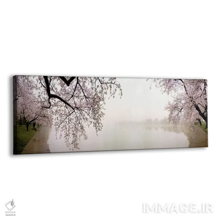 تابلو دکوراتیو USA,شکوفه های گیلاس در کنار دریاچه، واشنگتن دی سی، آمری… اثر پانورامیک ایمجز - نمای پرسپکتیو محصول