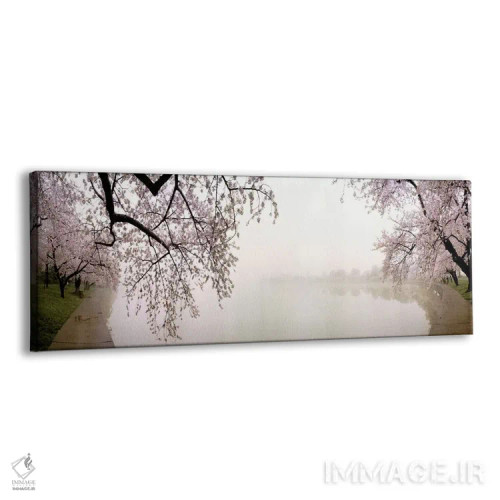 تابلو دکوراتیو USA,شکوفه های گیلاس در کنار دریاچه، واشنگتن دی سی، آمری… اثر پانورامیک ایمجز - نمای پرسپکتیو محصول