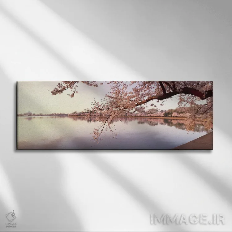 تابلو دکوراتیو Washington DC, USA,شکوفه های گیلاس در کنار دریاچه، واشن… اثر پانورامیک ایمجز - نمای روبهرو روی دیوار