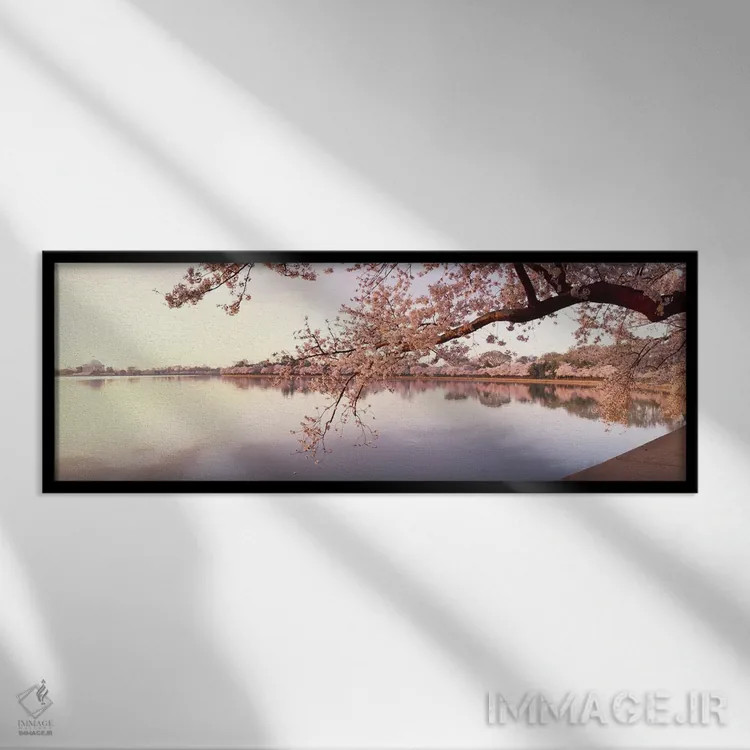 تابلو دکوراتیو Washington DC, USA,شکوفه های گیلاس در کنار دریاچه، واشن… اثر پانورامیک ایمجز - نمای قابدار مشکی