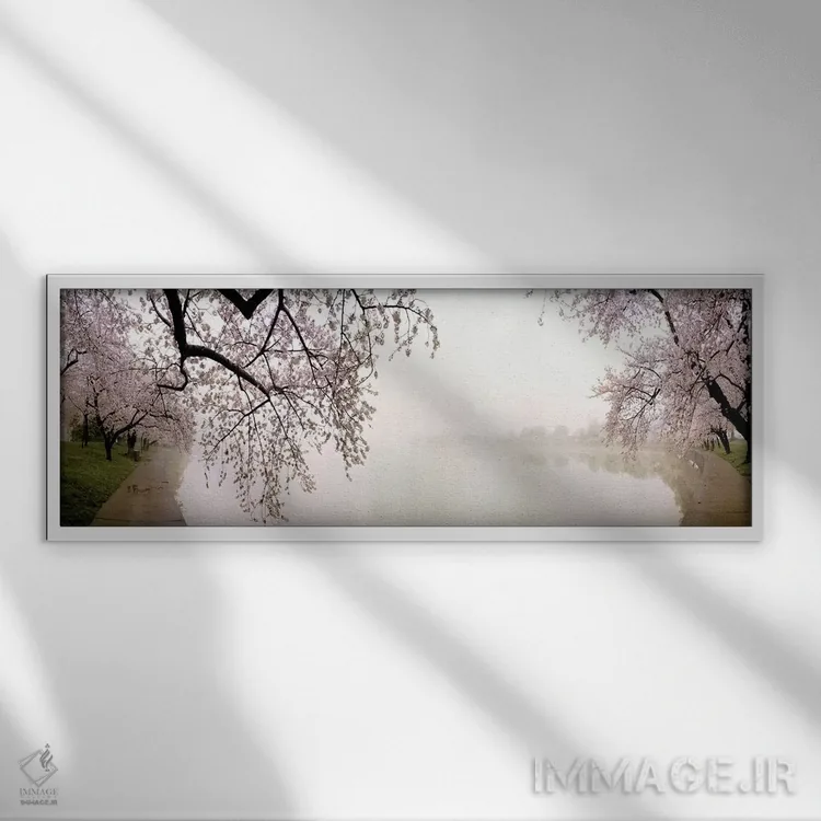 تابلو دکوراتیو USA,شکوفه های گیلاس در کنار دریاچه، واشنگتن دی سی، آمری… اثر پانورامیک ایمجز - نمای قابدار سفید