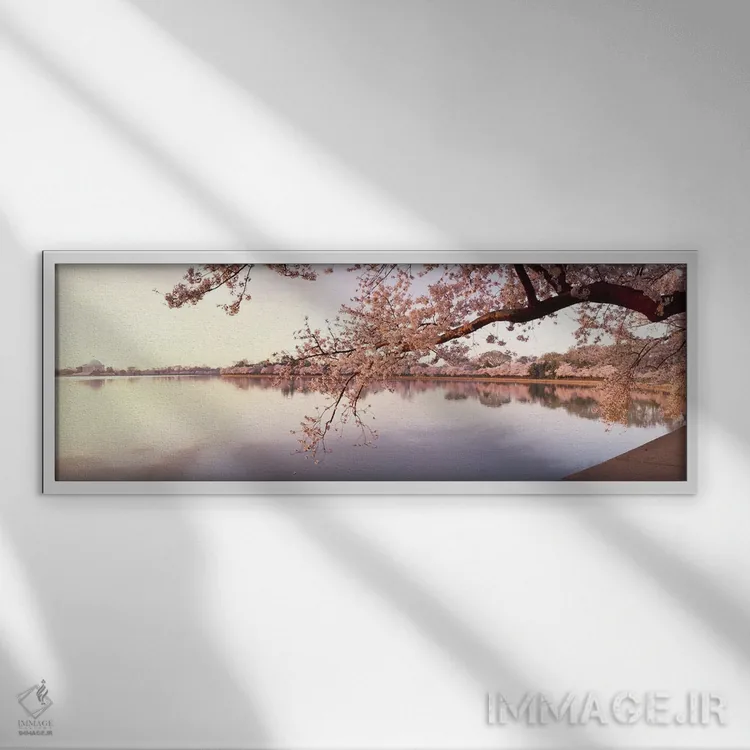 تابلو دکوراتیو Washington DC, USA,شکوفه های گیلاس در کنار دریاچه، واشن… اثر پانورامیک ایمجز - نمای قابدار سفید