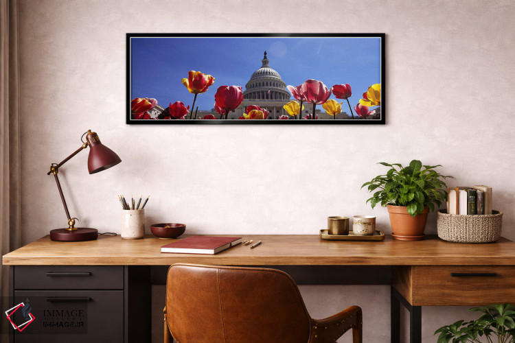 تابلو دکوراتیو Capitol Building, Washington DC, USA,لاله ها با ساختمان… اثر پانورامیک ایمجز - D3B