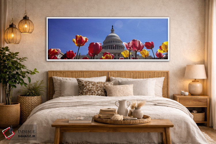تابلو دکوراتیو Capitol Building, Washington DC, USA,لاله ها با ساختمان… اثر پانورامیک ایمجز - D5W