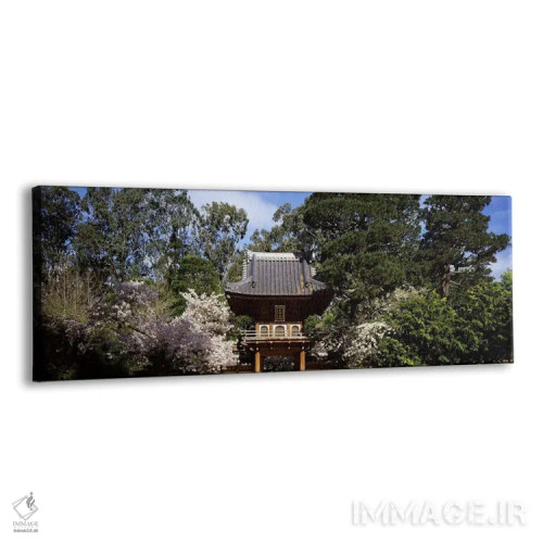 تابلو دکوراتیو Japanese Tea Garden, Golden Gate Park, San Francisco, C… اثر پانورامیک ایمجز - نمای پرسپکتیو محصول