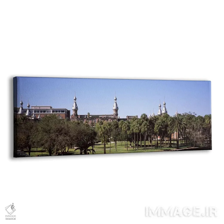 تابلو دکوراتیو University of Tampa, Tampa, Hillsborough County, Florid… اثر پانورامیک ایمجز - نمای پرسپکتیو محصول