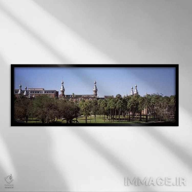 تابلو دکوراتیو University of Tampa, Tampa, Hillsborough County, Florid… اثر پانورامیک ایمجز - نمای قابدار مشکی