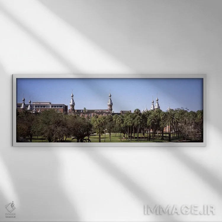 تابلو دکوراتیو University of Tampa, Tampa, Hillsborough County, Florid… اثر پانورامیک ایمجز - نمای قابدار سفید