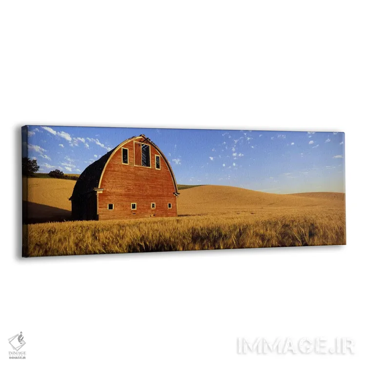 تابلو دکوراتیو Palouse, Whitman County, Washington State, USA #4,انبار… اثر پانورامیک ایمجز - نمای پرسپکتیو محصول