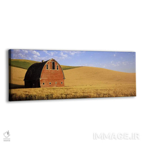 تابلو دکوراتیو Palouse, Whitman County, Washington State, USA #3,انبار… اثر پانورامیک ایمجز - نمای پرسپکتیو محصول