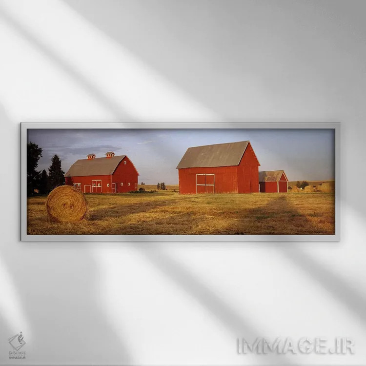 تابلو دکوراتیو Palouse, Whitman County, Washington State, USA,انبارهای… اثر پانورامیک ایمجز - نمای قابدار سفید