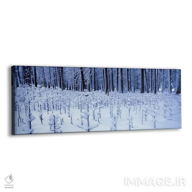 تابلو دکوراتیو Yosemite Valley, Yosemite National Park, Mariposa Count… اثر پانورامیک ایمجز - نمای پرسپکتیو محصول