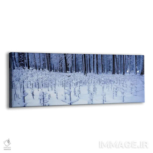 تابلو دکوراتیو Yosemite Valley, Yosemite National Park, Mariposa Count… اثر پانورامیک ایمجز - نمای پرسپکتیو محصول