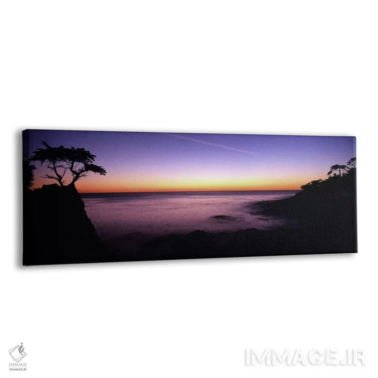 تابلو دکوراتیو 17-Mile Drive, Pebble Beach, Monterey County, Californi… اثر پانورامیک ایمجز - نمای پرسپکتیو محصول