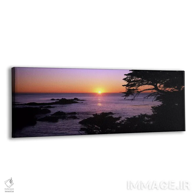 تابلو دکوراتیو Point Lobos State Reserve, Carmel, Monterey County, Cal… اثر پانورامیک ایمجز - نمای پرسپکتیو محصول