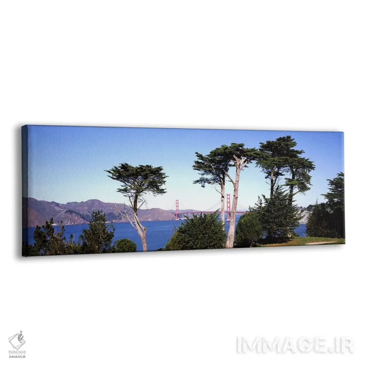 تابلو دکوراتیو Golden Gate Bridge, San Francisco Bay, San Francisco, C… اثر پانورامیک ایمجز - نمای پرسپکتیو محصول