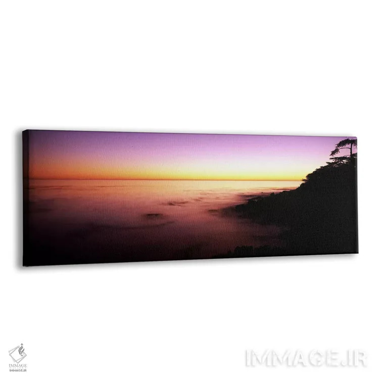 تابلو دکوراتیو Point Lobos State Reserve, Carmel, Monterey County, Cal… اثر پانورامیک ایمجز - نمای پرسپکتیو محصول