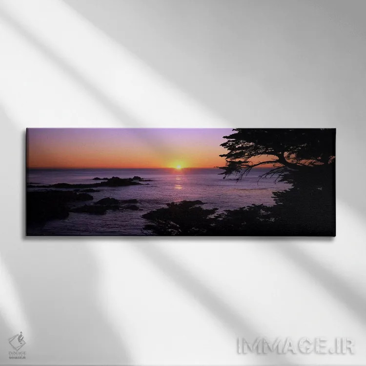 تابلو دکوراتیو Point Lobos State Reserve, Carmel, Monterey County, Cal… اثر پانورامیک ایمجز - نمای روبهرو روی دیوار