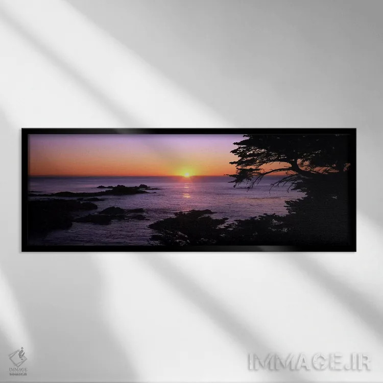 تابلو دکوراتیو Point Lobos State Reserve, Carmel, Monterey County, Cal… اثر پانورامیک ایمجز - نمای قابدار مشکی