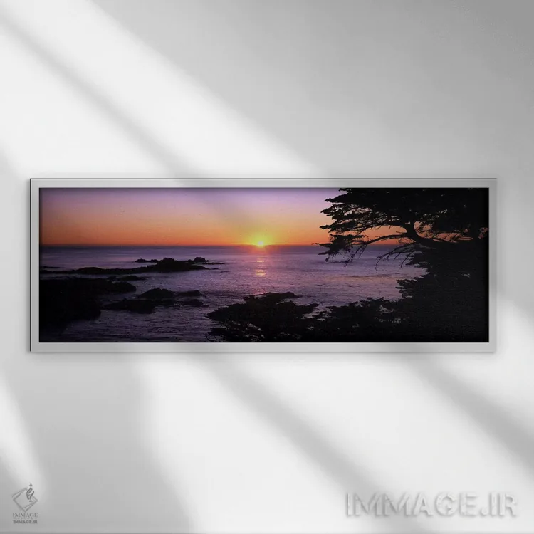 تابلو دکوراتیو Point Lobos State Reserve, Carmel, Monterey County, Cal… اثر پانورامیک ایمجز - نمای قابدار سفید