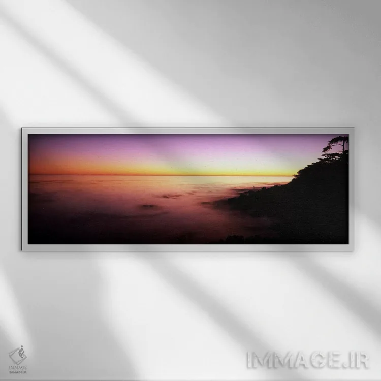 تابلو دکوراتیو Point Lobos State Reserve, Carmel, Monterey County, Cal… اثر پانورامیک ایمجز - نمای قابدار سفید