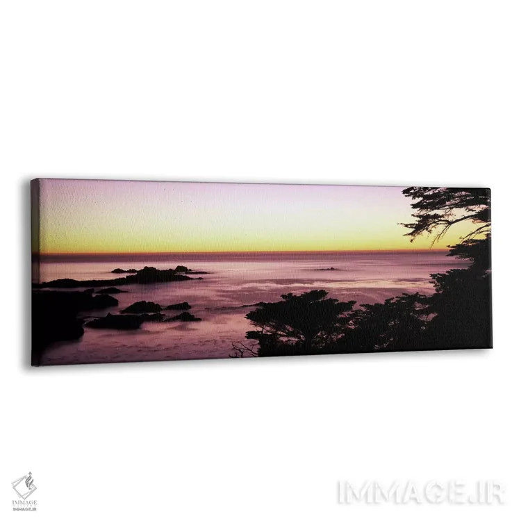 تابلو دکوراتیو Point Lobos State Reserve, Carmel, Monterey County, Cal… اثر پانورامیک ایمجز - نمای پرسپکتیو محصول
