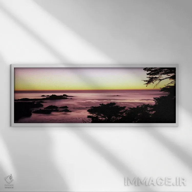 تابلو دکوراتیو Point Lobos State Reserve, Carmel, Monterey County, Cal… اثر پانورامیک ایمجز - نمای قابدار سفید