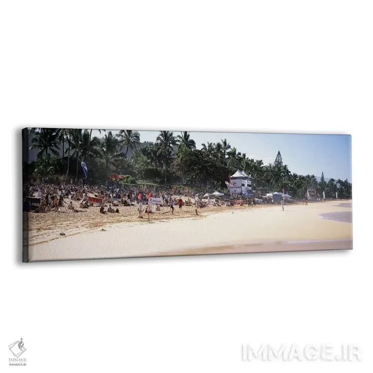 تابلو دکوراتیو North Shore, Oahu, Hawaii, USA,گردشگران در ساحل، نورث ش… اثر پانورامیک ایمجز - نمای پرسپکتیو محصول