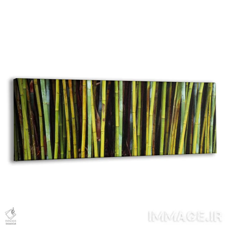 تابلو دکوراتیو Kanapaha Botanical Gardens, Gainesville, Alachua County… اثر پانورامیک ایمجز - نمای پرسپکتیو محصول