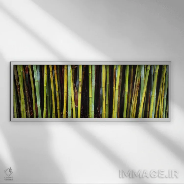 تابلو دکوراتیو Kanapaha Botanical Gardens, Gainesville, Alachua County… اثر پانورامیک ایمجز - نمای قابدار سفید