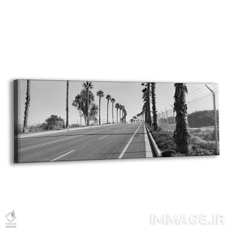 تابلو دکوراتیو California, USA,درختان نخل در امتداد جاده، سن دیگو، کال… اثر پانورامیک ایمجز - نمای پرسپکتیو محصول
