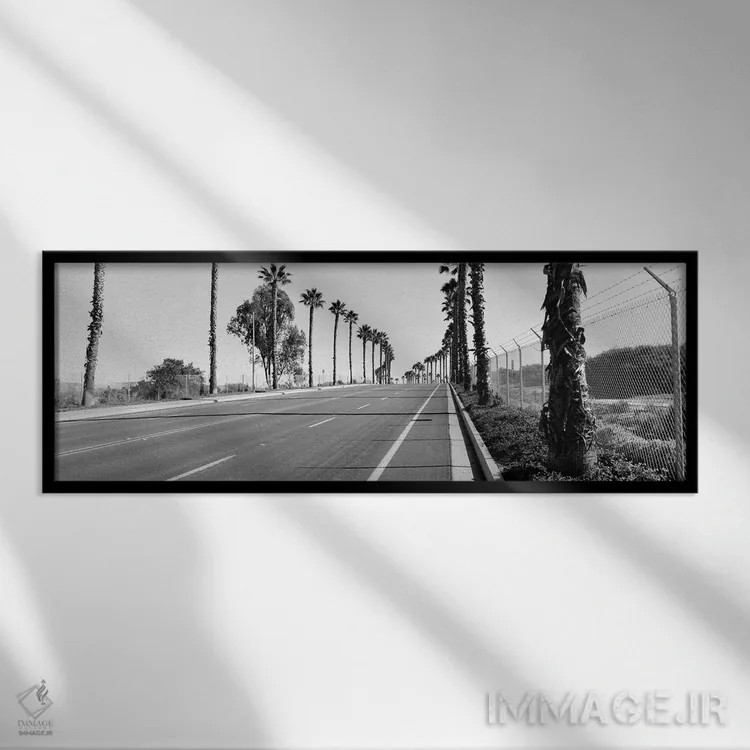 تابلو دکوراتیو California, USA,درختان نخل در امتداد جاده، سن دیگو، کال… اثر پانورامیک ایمجز - نمای قابدار مشکی