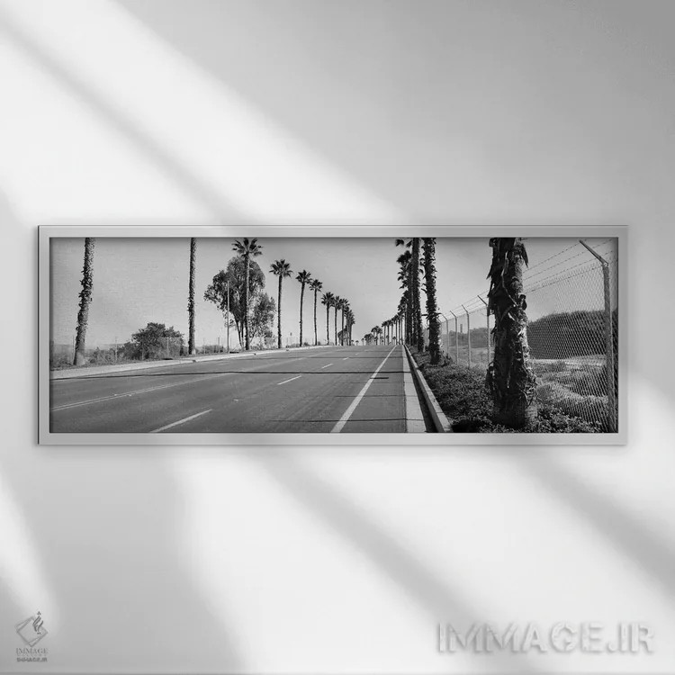 تابلو دکوراتیو California, USA,درختان نخل در امتداد جاده، سن دیگو، کال… اثر پانورامیک ایمجز - نمای قابدار سفید