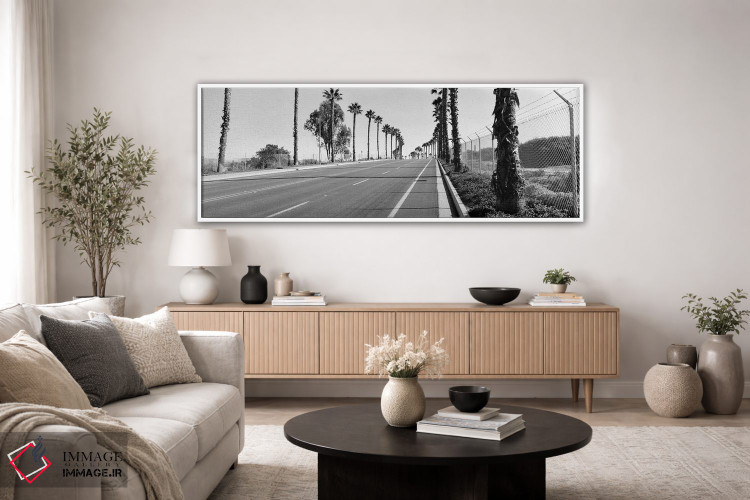 تابلو دکوراتیو California, USA,درختان نخل در امتداد جاده، سن دیگو، کال… اثر پانورامیک ایمجز - D4W