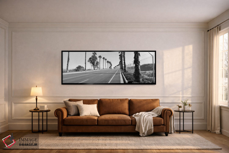 تابلو دکوراتیو California, USA,درختان نخل در امتداد جاده، سن دیگو، کال… اثر پانورامیک ایمجز - D6B