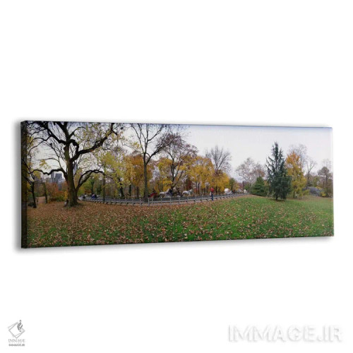 تابلو دکوراتیو Central Park, Manhattan, New York City, New York State… اثر پانورامیک ایمجز - نمای پرسپکتیو محصول