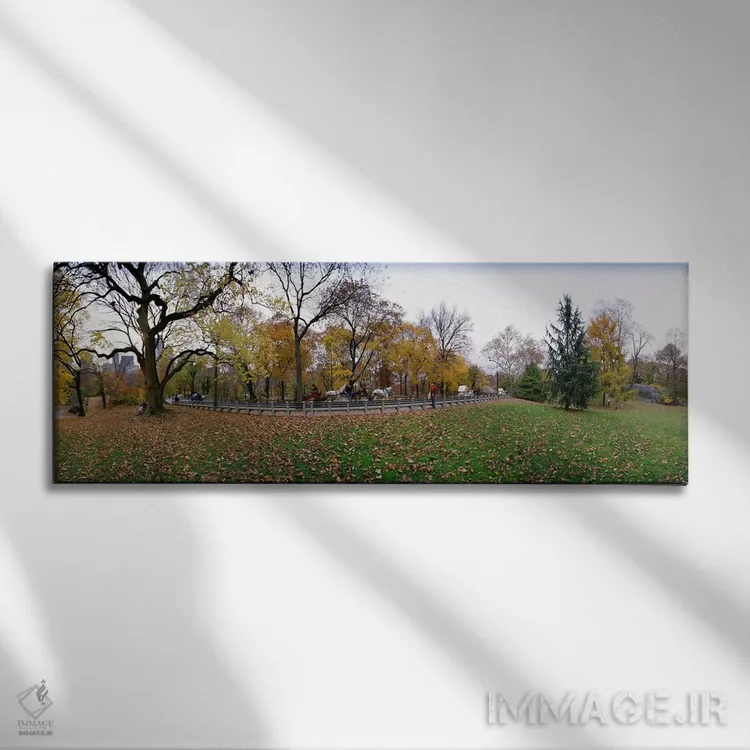 تابلو دکوراتیو Central Park, Manhattan, New York City, New York State… اثر پانورامیک ایمجز - نمای روبهرو روی دیوار