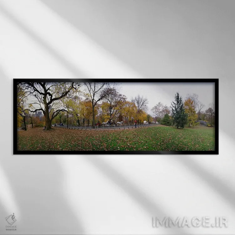 تابلو دکوراتیو Central Park, Manhattan, New York City, New York State… اثر پانورامیک ایمجز - نمای قابدار مشکی