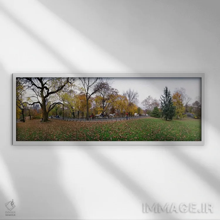 تابلو دکوراتیو Central Park, Manhattan, New York City, New York State… اثر پانورامیک ایمجز - نمای قابدار سفید