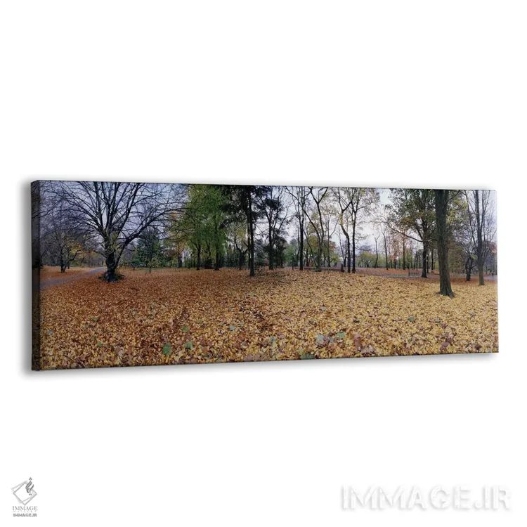 تابلو دکوراتیو Central Park, Manhattan, New York City, New York State… اثر پانورامیک ایمجز - نمای پرسپکتیو محصول