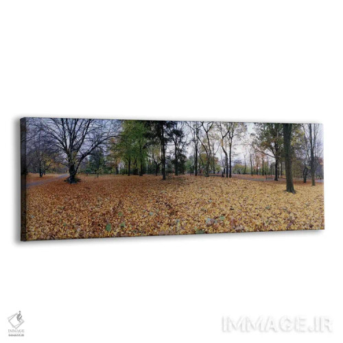 تابلو دکوراتیو Central Park, Manhattan, New York City, New York State… اثر پانورامیک ایمجز - نمای پرسپکتیو محصول