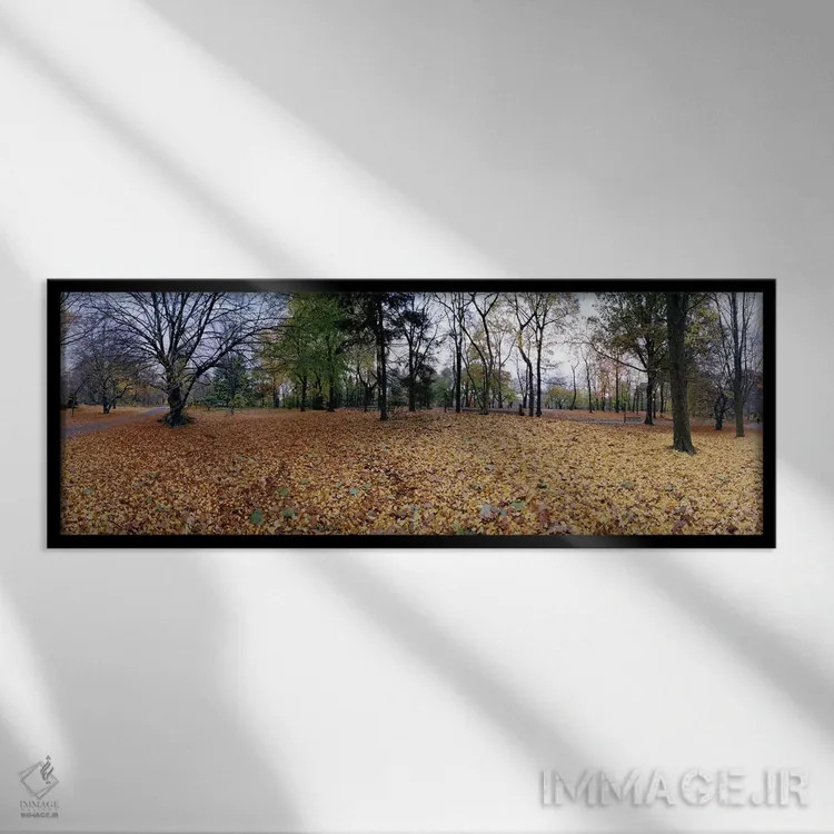 تابلو دکوراتیو Central Park, Manhattan, New York City, New York State… اثر پانورامیک ایمجز - نمای قابدار مشکی
