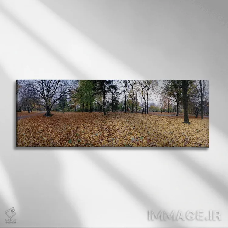 تابلو دکوراتیو Central Park, Manhattan, New York City, New York State… اثر پانورامیک ایمجز - نمای روبهرو روی دیوار